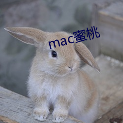 mac蜜桃