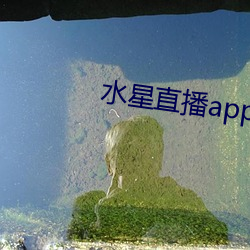 水星直播app最新款