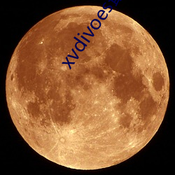xvdivoes最新版