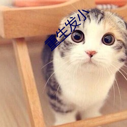 重生發小