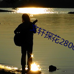 文轩探花2800在线观看 （形成
