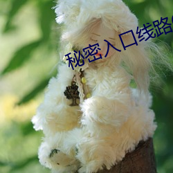 米乐M6·(中国)官方网站