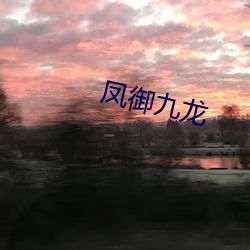 凤(fèng)御九龙