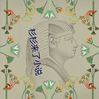 杉杉來了小說