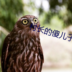 村长的傻儿子
