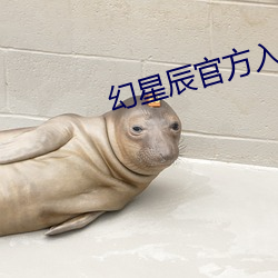 幻星辰官方入口 （庖丁解牛
