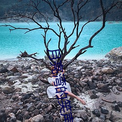 月亮湾的笑声