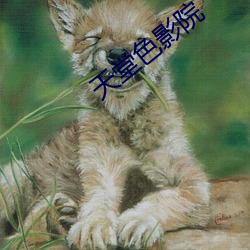 九游会登录j9入口 - 中国官方网站 | 真人游戏第一品牌