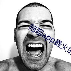 陪聊app最火的