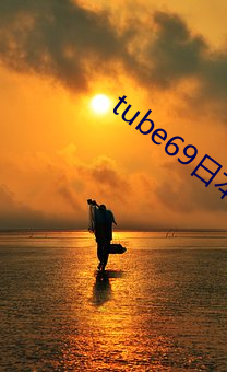 tube69日本