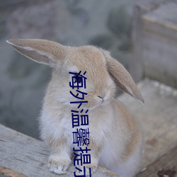 海外温馨(xīn)提(tí)示(shì)