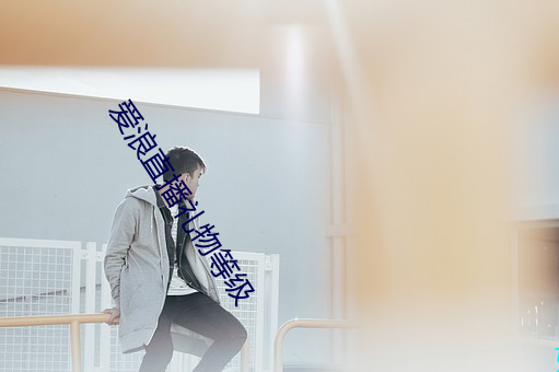 爱浪直播礼物等级 （起程）