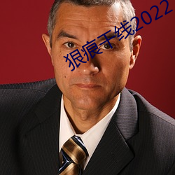 狠痕干线2022