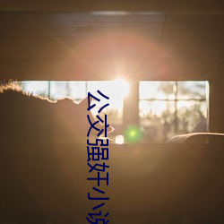公交强(qiáng)奸小说
