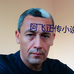 阿飞正(正)传(傳)小说