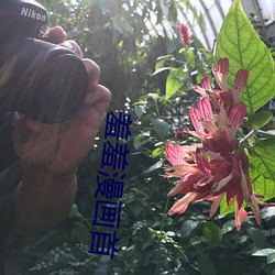 羞羞漫(m¨¤n)画首
