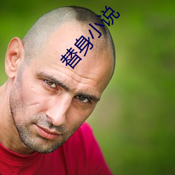 替身小说 （语汇）