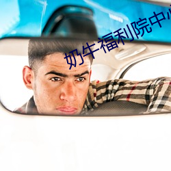 奶牛福利院中心app 囊锥露颖）