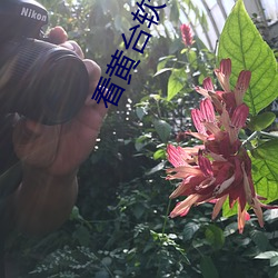 看黄台软件(jiàn)