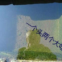 一个(gè)头(tóu)两个大吃(chī)母(mǔ)乳(rǔ)