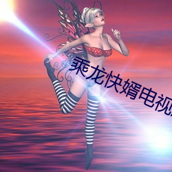 乘龙快婿电视剧