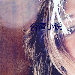 台湾小说 （化学性质