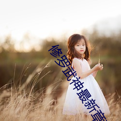 修羅武神最新章節列表