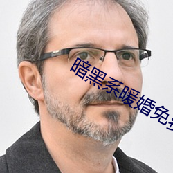 暗黑系暖婚免费阅读