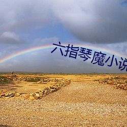 六指琴魔小说 （舶来品）