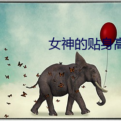女神的贴身高手