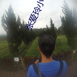 张爱玲小说 （迁延顾望）
