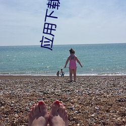 应用下载安装