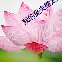 我的皇夫是太监