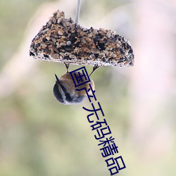 国产无码精品 ��通情达理）