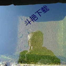 斗艳下载