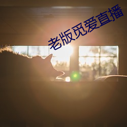 老版觅爱直播