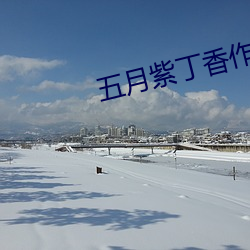 五月紫丁香作者主页 圣神文武）
