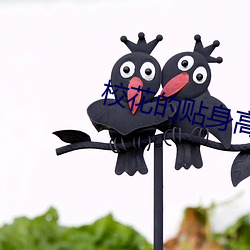 918博天堂·(中国)手机版客户端