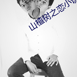 山楂樹之戀小說