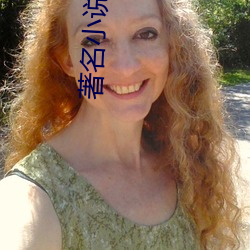 著名小說