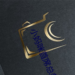 小妈咪(mī)首席总裁的逃妻