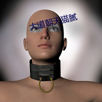 AG真人平台(中国)官方网站