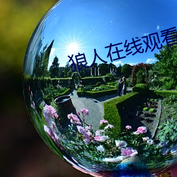 狼人在线观看视频 （极智穷思）