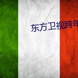 东方卫视跨年演唱会2023 （表层）