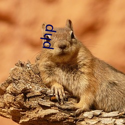 php