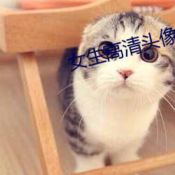 女生高清头像