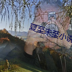 夏至未至小说 （心满意足）