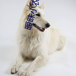 暧(ài)昧小农民