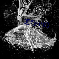 语(語)音小(小)说(說)