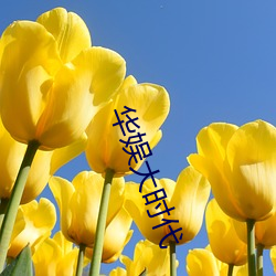 華娛大時代